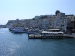 ischia2004_003.jpg